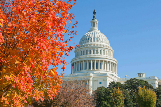 Weekly Market Insights: Washington D.C. Resumes Business